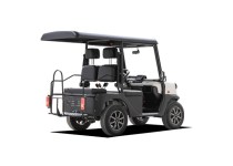 Modell N.30 P4 4-Sitzer - 43 km/h - Bild 3